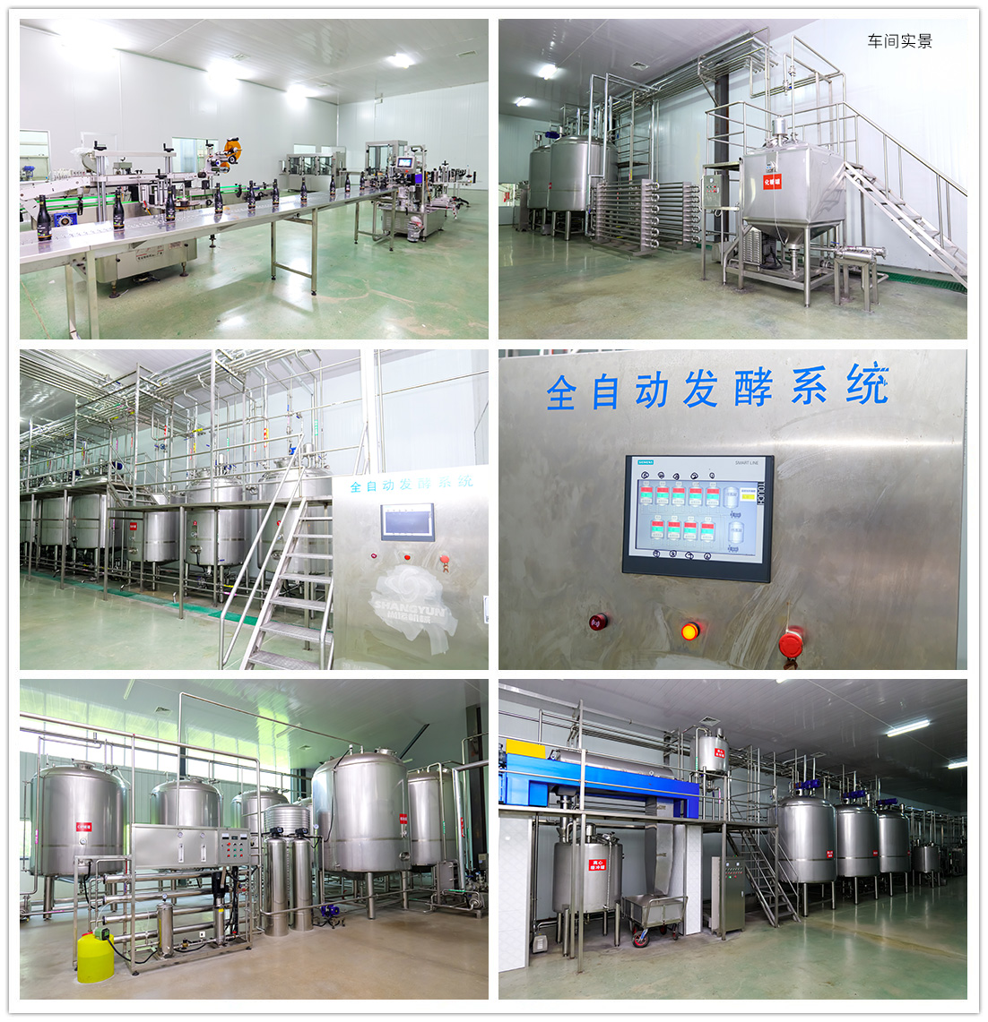 廠區廠貌(圖5)